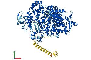 AlphaFold protein structure predicition of Mouse Recombinant Rrm1 Protein, UniprotID P07742 (RRM1 Protein (AA 1-792) (His tag))