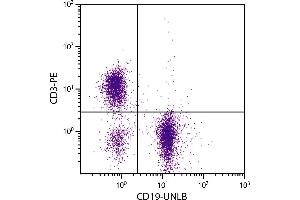 BALB/c mouse splenocytes were stained with Rat Anti-Mouse CD19-UNLB. (CD19 抗体)