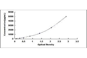 Typical standard curve (DEFB112 ELISA 试剂盒)