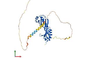 Protein Structure (PS) image for TATA Box Binding Protein (TBP) (AA 1-316) protein (His tag) (ABIN7563070)