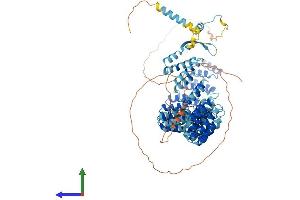 Protein Structure (PS) image for Crooked Neck Pre-mRNA Splicing Factor-Like 1 (CRNKL1) (AA 1-848) protein (His tag) (ABIN7546803)