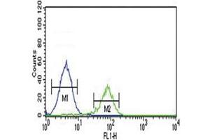 Flow Cytometry (FACS) image for anti-Proprotein Convertase Subtilisin/kexin Type 2 (PCSK2) (AA 87-116) antibody (ABIN3032332)