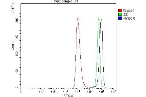 Flow Cytometry analysis of HEL cells using anti-HMGCR antibody (ABIN7600989).