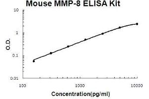 Mouse MMP-8 PicoKine ELISA Kit standard curve (MMP8 ELISA 试剂盒)