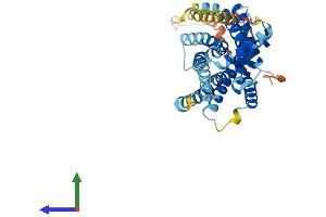 Protein Structure (PS) image for Bradykinin Receptor B2 (BDKRB2) (AA 1-392) protein (His tag) (ABIN7563132)