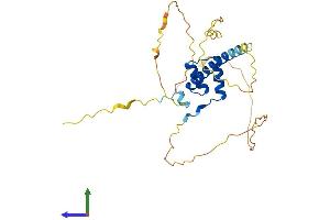 Protein Structure (PS) image for H6 Family Homeobox 2 (HMX2) (AA 1-273) protein (His tag) (ABIN7548311)