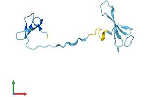 Protein Structure (PS) image for Polymerase (RNA) III (DNA Directed) Polypeptide K, 12.3 KDa (POLR3K) (AA 1-108) protein (His tag) (ABIN7560594)