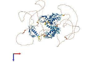 GTF2IRD1 Protein (AA 1-959) (His tag)