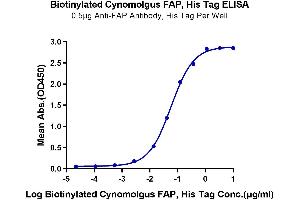 ELISA image for Fibroblast Activation Protein, alpha (FAP) (AA 26-760) protein (His-Avi Tag,Biotin) (ABIN7274582)