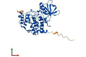 Protein Structure (PS) image for Casein Kinase 2, alpha Prime Polypeptide (CSNK2A2) (AA 1-350) protein (His tag) (ABIN7553555)