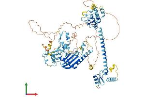 Protein Structure (PS) image for Ankyrin Repeat and Zinc Finger Domain Containing 1 (ANKZF1) (AA 1-726) protein (His tag) (ABIN7552184)