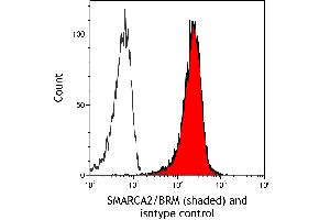 Flow Cytometry (FACS) image for anti-SWI/SNF Related, Matrix Associated, Actin Dependent Regulator of Chromatin, Subfamily A, Member 2 (SMARCA2) (AA 1325-1375) antibody (ABIN7795709)