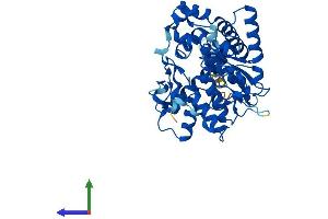 Protein Structure (PS) image for Galactose-3-O-Sulfotransferase 2 (GAL3ST2) (AA 1-398) protein (His tag) (ABIN7547793)