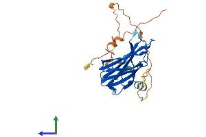 AlphaFold protein structure predicition of Human Recombinant RIMS4 Protein, UniprotID Q9H426