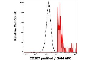 Separation of human CD64 positive CD207 positive cells (red-filled) from CD64 negative CD207 negative cells (black-dashed) in flow cytometry analysis (intracellular staining) of human stimulated (GM-CSF + IL-4 + TGF-beta) peripheral blood mononuclear cells stained using anti-human CD207 (2G3) purified antibody (concentration in sample 0. (CD207 抗体)