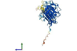 Protein Structure (PS) image for Pellino Homolog 2 (Drosophila) (PELI2) (AA 1-420) protein (His tag) (ABIN7550677)
