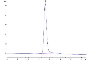 Size-exclusion chromatography-High Pressure Liquid Chromatography (SEC-HPLC) image for MANSC Domain Containing 1 (MANSC1) (AA 27-385) protein (His tag) (ABIN7275227)