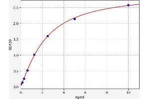 NFKB2 ELISA 试剂盒