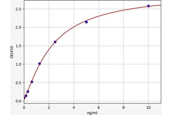 NFKB2 ELISA 试剂盒