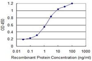 Detection limit for recombinant GST tagged TRPV1 is 0. (TRPV1 抗体  (AA 21-124))