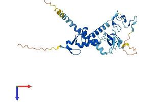 RNF144A Protein (AA 1-292) (His tag)