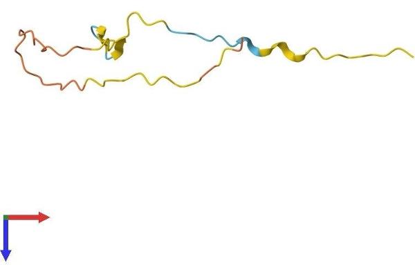 FAM229B Protein (AA 1-80) (Fc Tag)