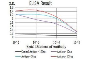 Black line: Control Antigen (100 ng), Purple line: Antigen(10 ng), Blue line: Antigen (50 ng), Red line: Antigen (100 ng), (HOXA9 抗体  (AA 1-272))
