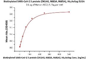 Biotinylated SARS-CoV-2 S protein (D614G), His,Avitag, Super stable trimerBiotinylated SARS-CoV-2 S protein (D614G), His,Avitag, Super stable trimer (Cat.