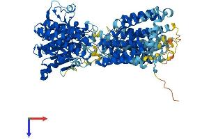 PIGN Protein (AA 1-931) (His tag)