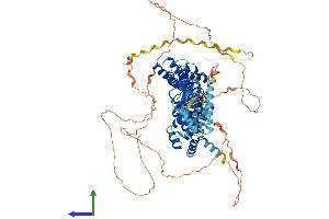 AlphaFold protein structure predicition of Human Recombinant HCN2 Protein, UniprotID Q9UL51
