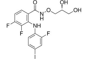 Chemical structure of PD325901 , a MEK kinase inhibitor.