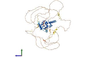 Protein Structure (PS) image for HIV-1 Rev Binding Protein (HRB) (AA 1-561) protein (His tag) (ABIN7559509)
