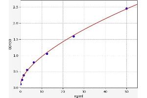 Typical standard curve (GNB3 ELISA 试剂盒)