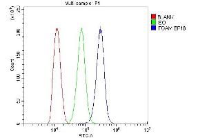 anti-Integrin alpha M (ITGAM) (AA 17-382) antibody
