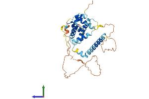 Protein Structure (PS) image for BCL2-Like 14 (Apoptosis Facilitator) (BCL2L14) (AA 1-327) protein (His tag) (ABIN7552544)
