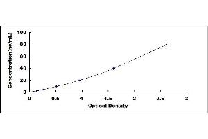 Typical standard curve (SCG2 ELISA 试剂盒)