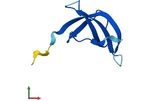 Protein Structure (PS) image for Ribosomal Protein S28 (RPS28) (AA 1-69) protein (Fc Tag) (ABIN7556621)