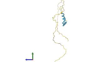 AlphaFold protein structure predicition of Mouse Recombinant Dbndd1 Protein, UniprotID Q9CZ00