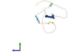 Protein Structure (PS) image for Golgin, RAB6-Interacting (GORAB) (AA 1-368) protein (His tag) (ABIN7558841)