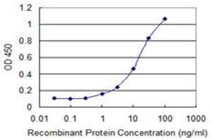 Detection limit for recombinant GST tagged SLC7A8 is 0. (SLC7A8 抗体  (AA 467-535))