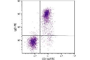 BALB/c mouse splenocytes were stained with Rat Anti-Mouse IgD-PE. (大鼠 anti-小鼠 IgD Antibody (PE))