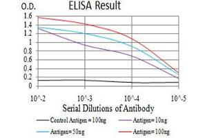 ELISA image for anti-RAD50 Homolog (S. Cerevisiae) (RAD50) (AA 228-359) antibody (ABIN5542671)