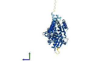 Protein Structure (PS) image for Asparagine-Linked Glycosylation 11, alpha-1,2-Mannosyltransferase Homolog (Yeast) (ALG11) (AA 1-492) protein (His tag) (ABIN7552046)