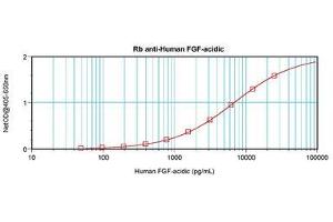 Image no. 1 for anti-Fibroblast Growth Factor 1 (Acidic) (FGF1) antibody (ABIN1498254) (FGF1 抗体)
