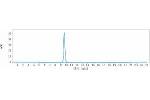 anti-CTLA4 (Quavonlimab Biosimilar) antibody