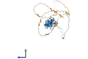 Protein Structure (PS) image for Thyroid Hormone Receptor Interactor 6 (TRIP6) (AA 1-480) protein (His tag) (ABIN7556398)