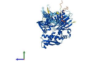 AlphaFold protein structure predicition of Mouse Recombinant Hspa1l Protein, UniprotID P16627
