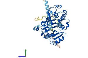 Protein Structure (PS) image for Glycosyltransferase 8 Domain Containing 2 (GLT8D2) (AA 1-349) protein (His tag) (ABIN7548028)