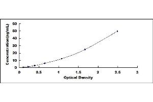 Typical standard curve (Utrophin ELISA 试剂盒)