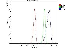 Flow Cytometry analysis of ANA-1 cells using anti-Cd80 antibody (ABIN7602197).